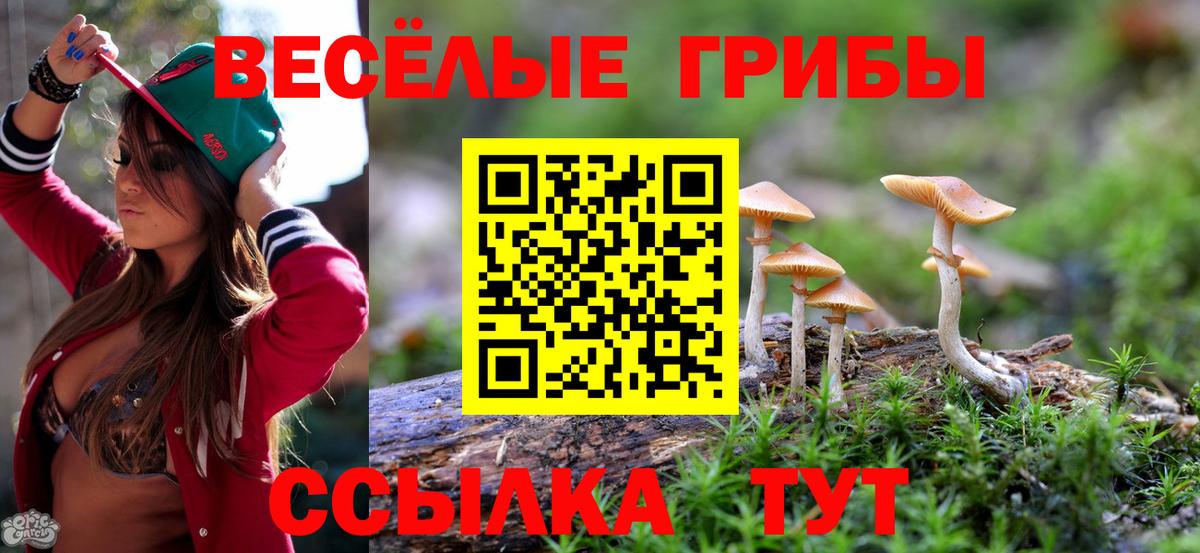Псилоцибиновые грибы мицелий  Галлюциногенные грибы GOLDEN TEACHER  Карачаевск  Вход с VPN 