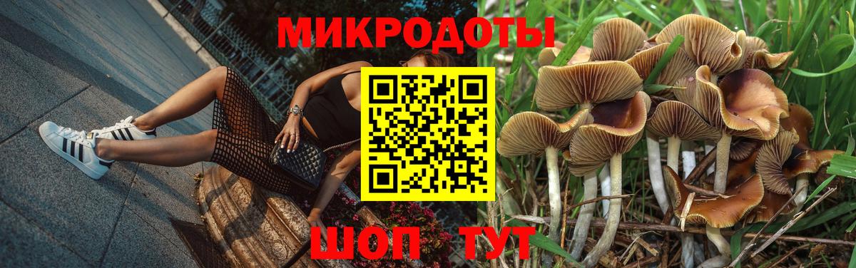 Экстази Карачаевск